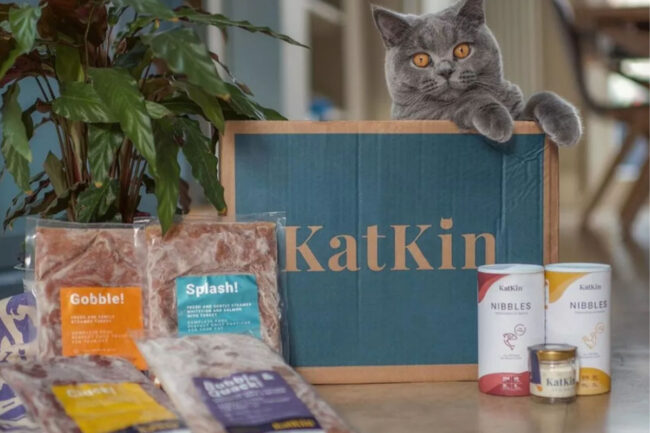 KatKin has recently closed its seed funding round