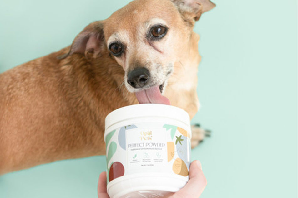 Opal Pets launches vegan dog supplement | Pet Food Processing