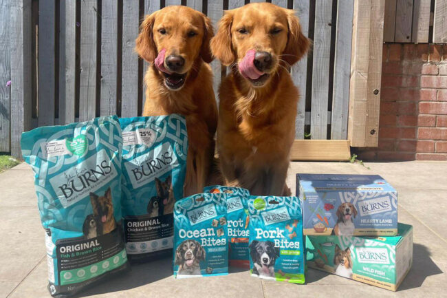 Burns Pet Nutrition partners with Admiral Pet Insurance