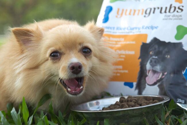 Protenga's new pet food YumGrubs