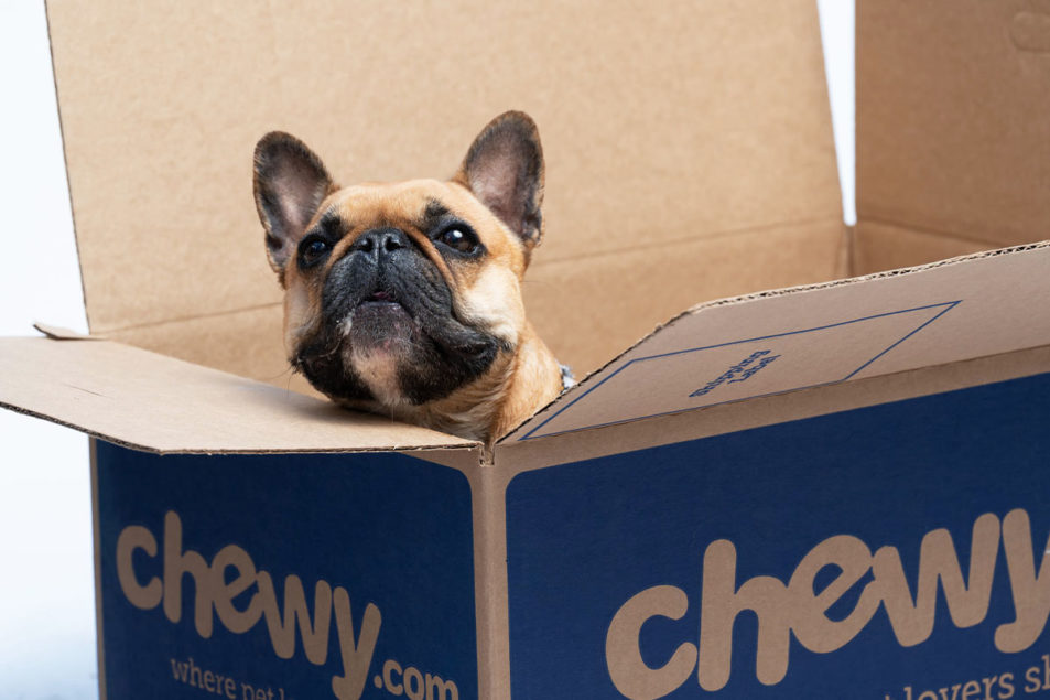 Autoship subscription sales the kingpin of growth for Chewy Pet Food