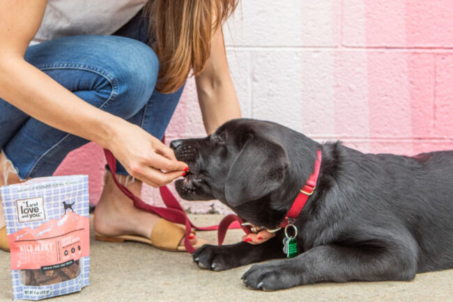 "I and love and you" dog treats