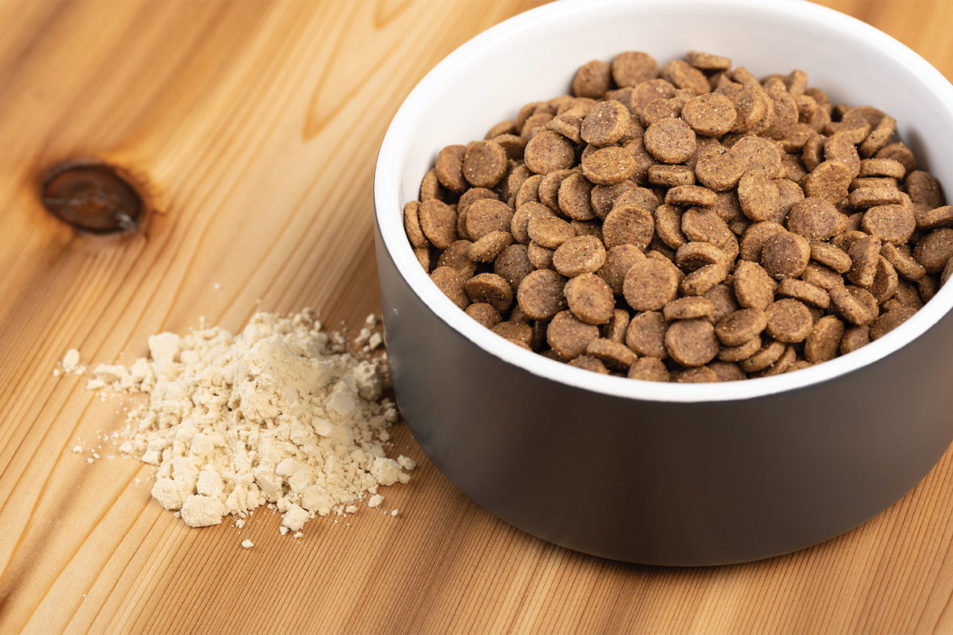 Creating form, structure with binders | Pet Food Processing