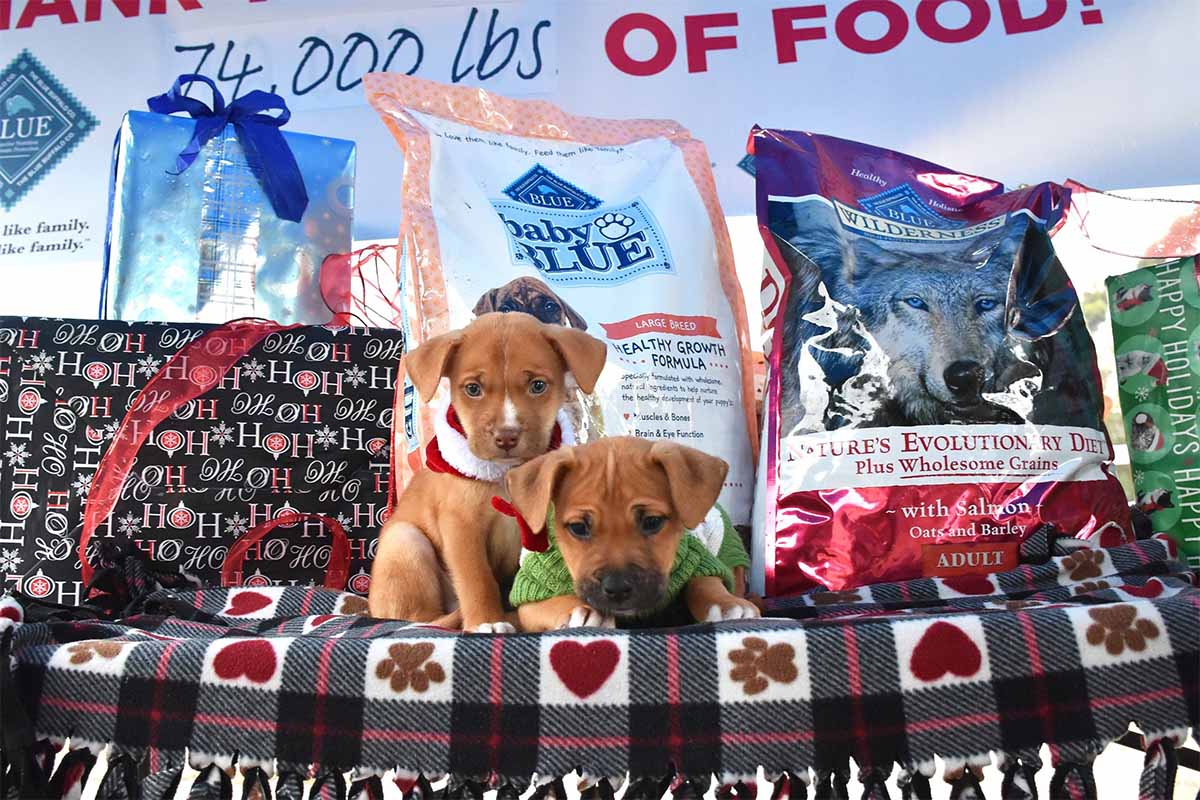 Blue Buffalo donates several truckloads of pet food to shelters