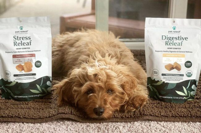 Pet Releaf dispels CBD myths for pets