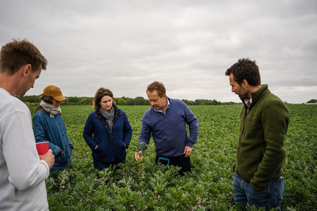 Royal Canin partners with Soil Capital to promote regenerative farming in Europe