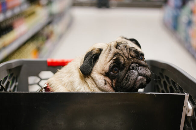 Recent survey explores positive pet spending sentiments amid economic pressures