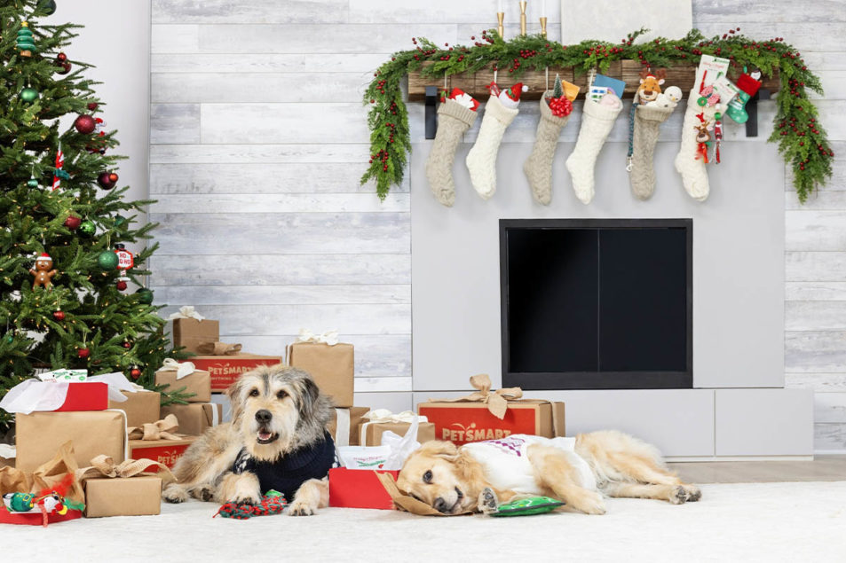 PetSmart decks the aisles for the holidays