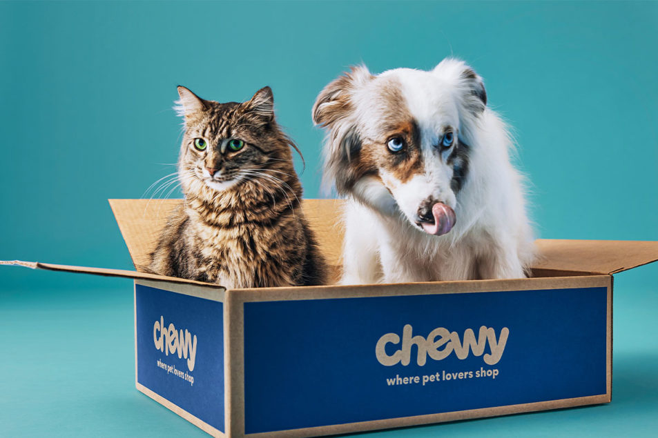 Chewy tempers Q4 net sales expectations