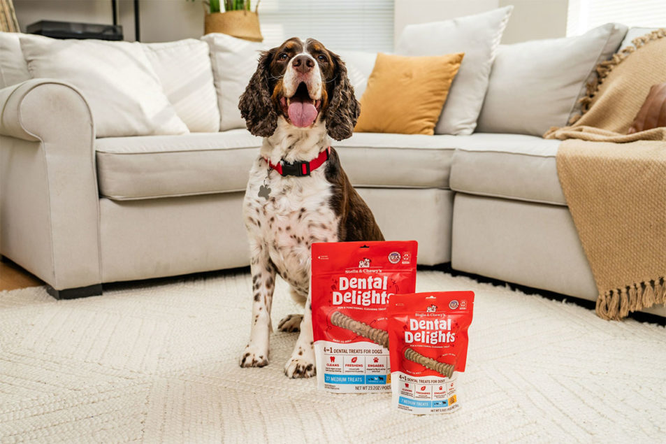 Stella & Chewy’s enters dental category with functional treats