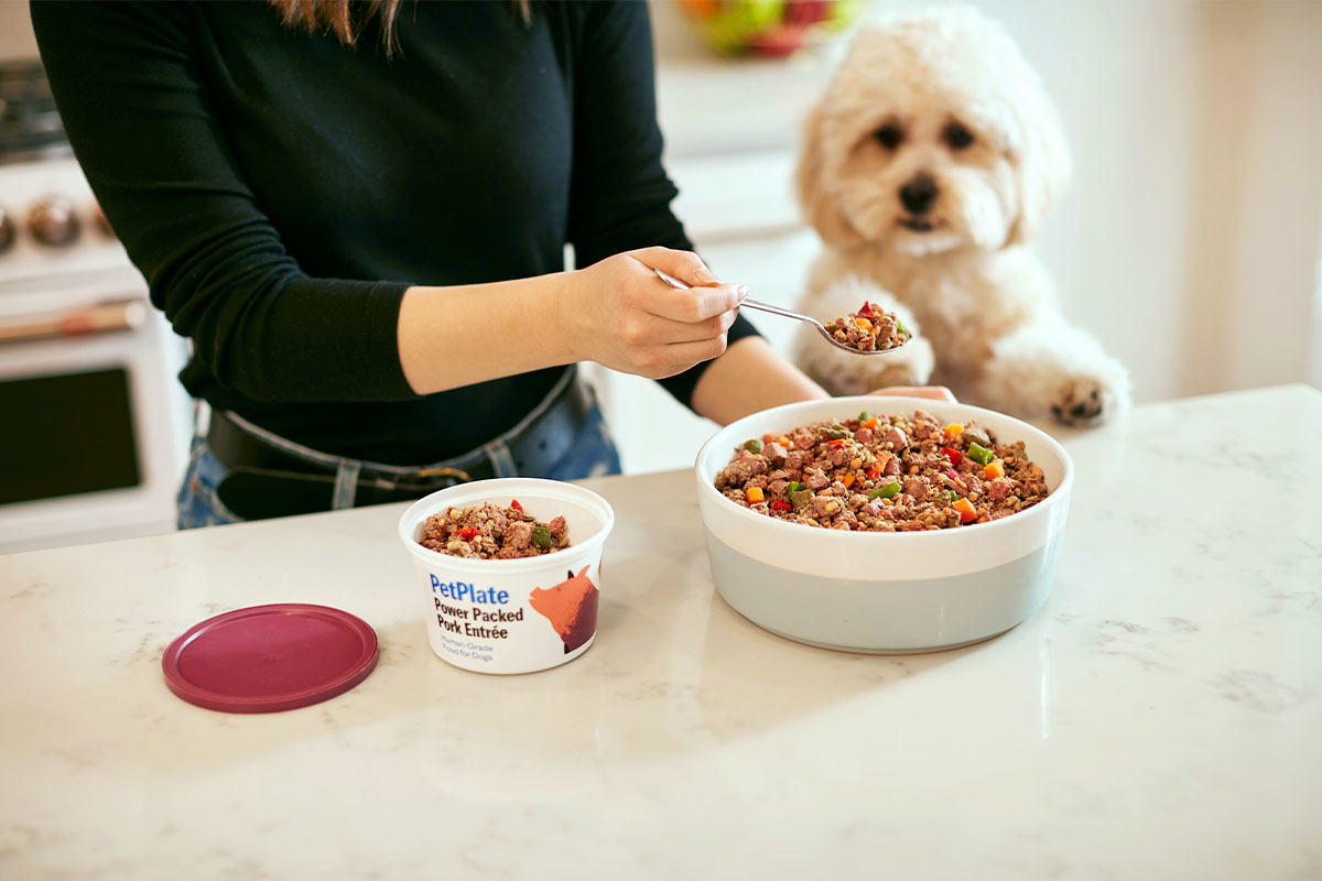 Human Grade Pet Food Subscription