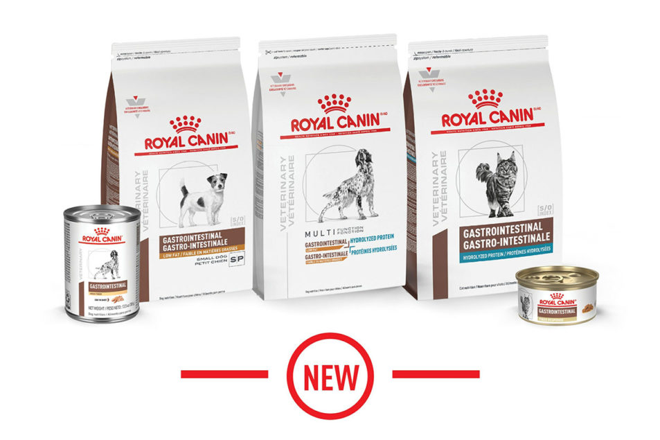 Royal Canin unleashes new formulas to support gastrointestinal health ...