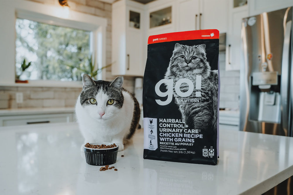 Petcurean targets feline health with new Go! Solutions formula | Pet ...