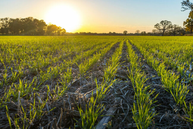 ADM exceeds regenerative agriculture goal for 2023