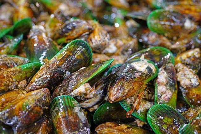 Green Source Organics introduces green lipped mussel powder