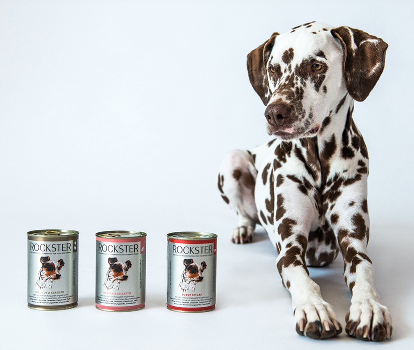 The Rockster lifestyle product shot with Dalmatian