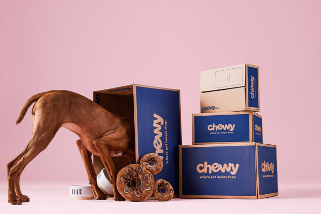 Chewy shares first-quarter 2024 financial performance