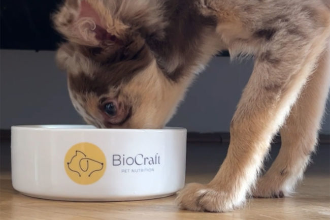 BioCraft Pet Nutrition achieves price parity for its cultivated meat ingredeints