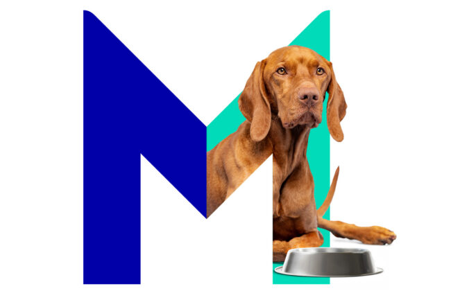 Mars Pet Nutrition advances its mission through innovative, science-backed nutrition