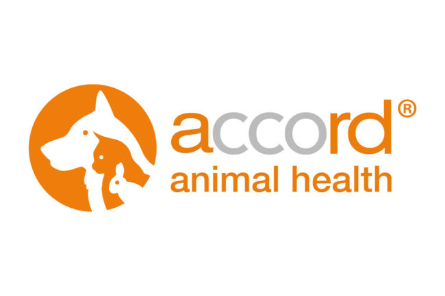 Accord Animal Health launches new dental chew supplement for dogs