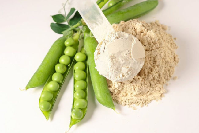 Bunge expands pea and faba protein ingredient offerings