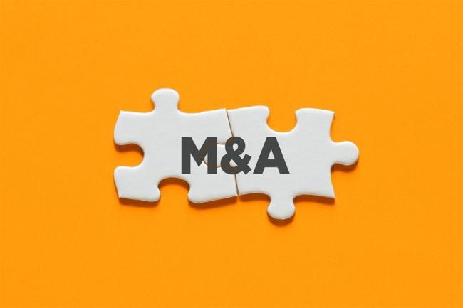 The latest mergers and acquisitions in the pet food industry from January to June 2024