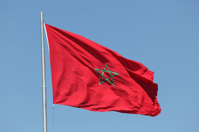 Morocco introduces new regulations for importing animal meals for pet food applications