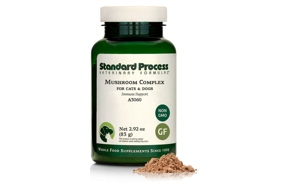 Standard Process's new Mushroom Complex dog and cat supplement