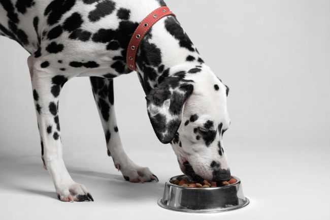 Oxidation can lead to the degradation of key vitamins in pet food