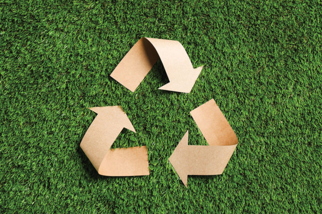 Recyclable and compostable packaging in the pet food industry