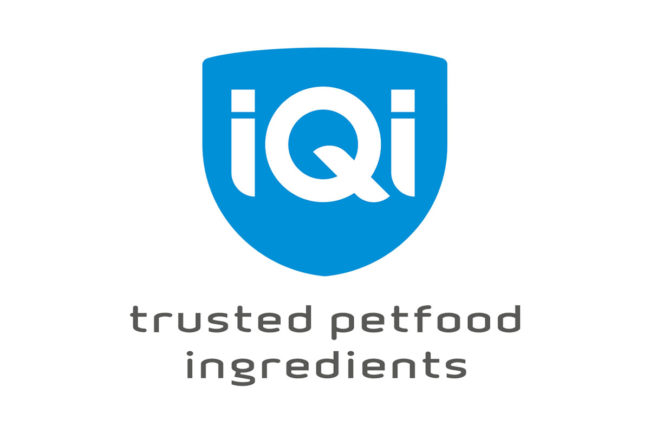 IQI names new sales manager