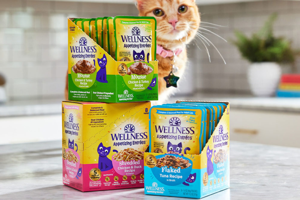 Wellness Pet Company's new Appetizing Entrées™ wet cat food line