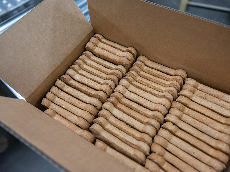 Pick-and-place robots assist with packing bulk dog biscuits