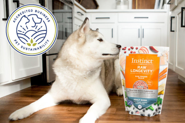 Instinct receives sustainability accreditation