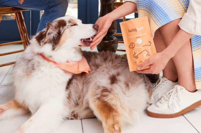 WagWell offers freeze-dried, single-ingredient dog treats