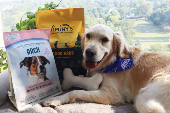 Dog with Arch Pet Food and Jiminy's pet food packaging