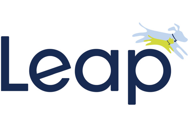 Leap logo