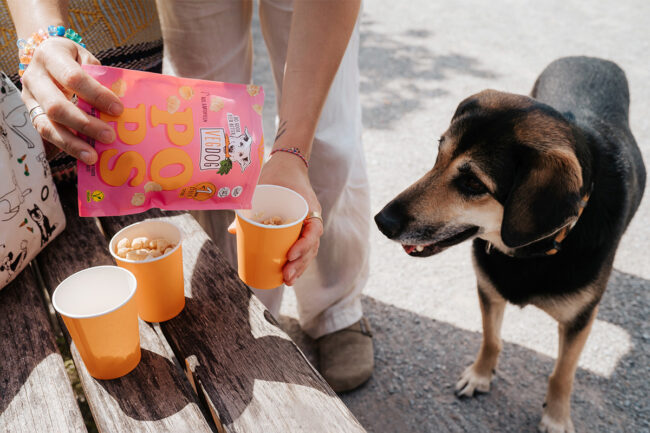 VEGDOG POPS dog treats