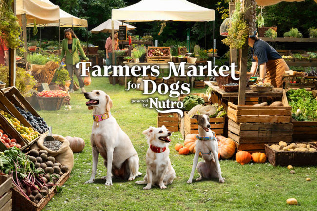 Nutro™ Farmers Market for Dogs