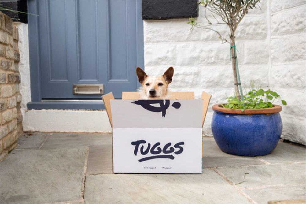 Dog in Tuggs dog food subscription box