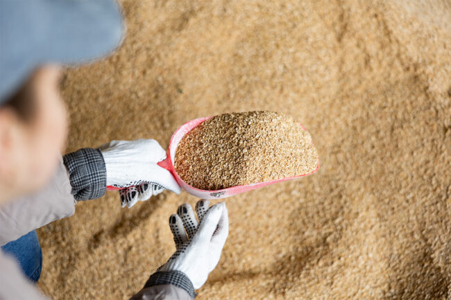 Stock image of animal feed