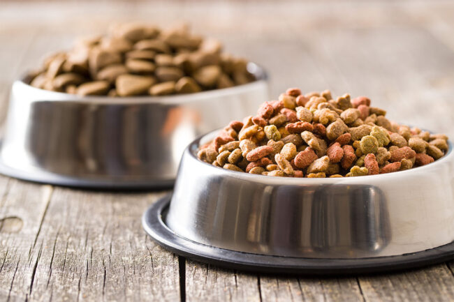 Dog and cat food in bowls