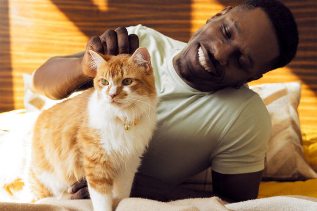 Cat parent with his orange and white cat