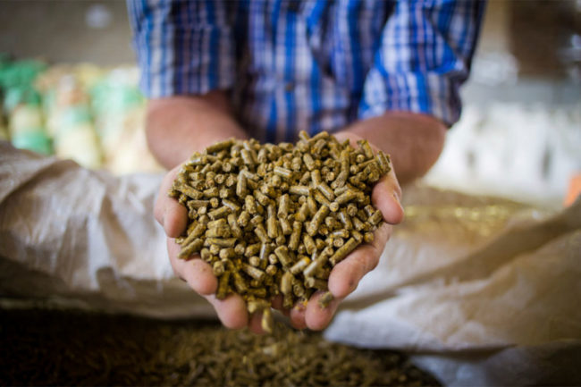 Stock image of animal feed