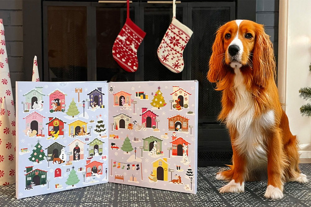 Disney table Scraps' dog advent calendar