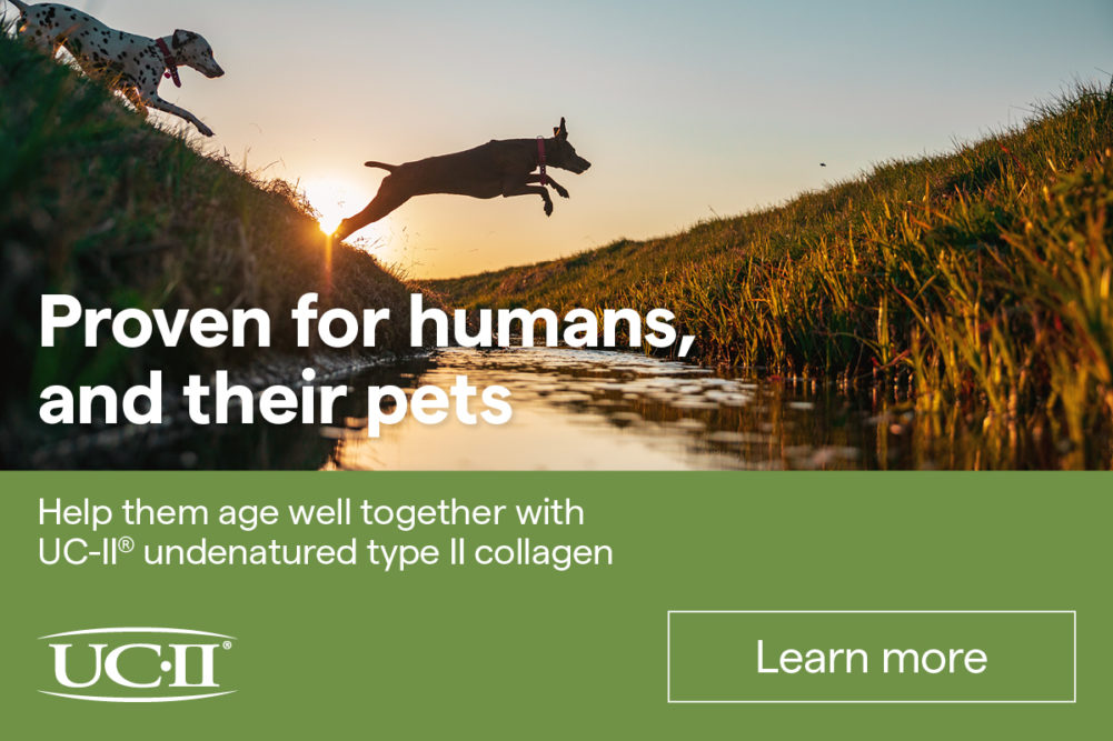 Discover why collagen is emerging as a key nutrient to support joint health in pets