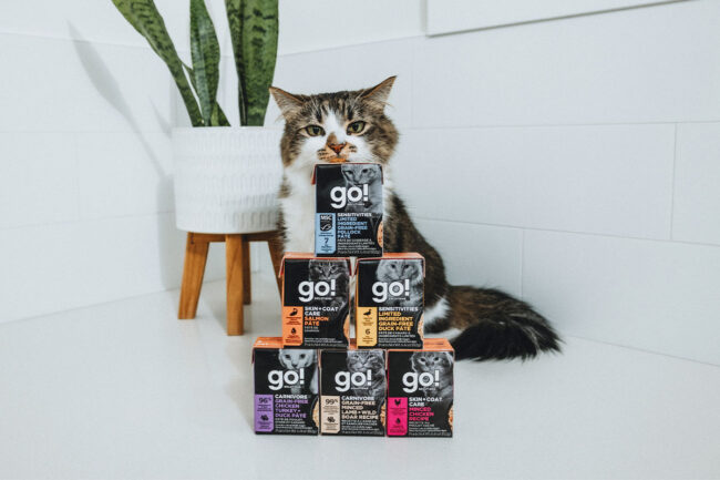 Petcurean's Go! Solutions cat food