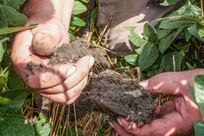 Healthy soil from regenerative agriculture practices