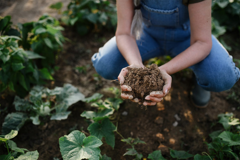 Purina advances partnerships for regenerative agriculture