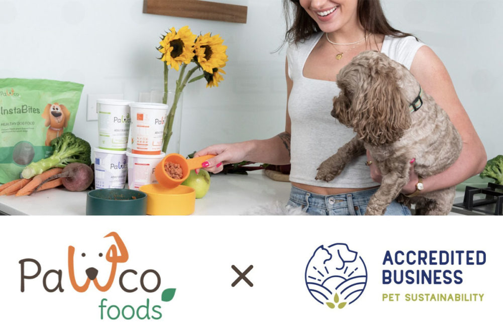 Pet owner feeding dog PawCo Foods' plant-based dog food